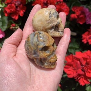 crazy lace agate skull carving