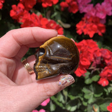 Load image into Gallery viewer, tigers eye skull carving
