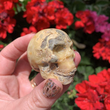 Load image into Gallery viewer, crazy lace agate skull carving