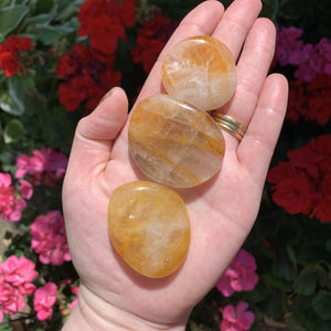 golden healer palm stones